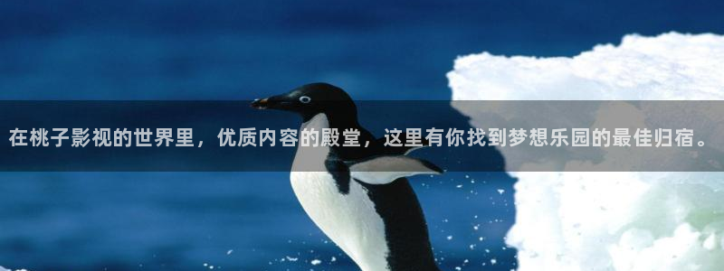 秘书电影西瓜