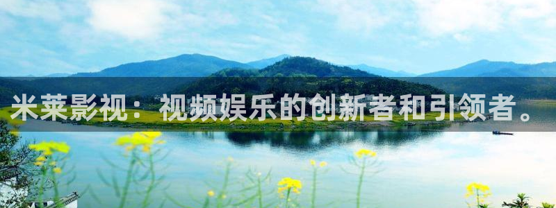 西瓜网在线