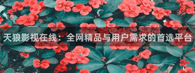 他是谁在线高清免费观看西瓜