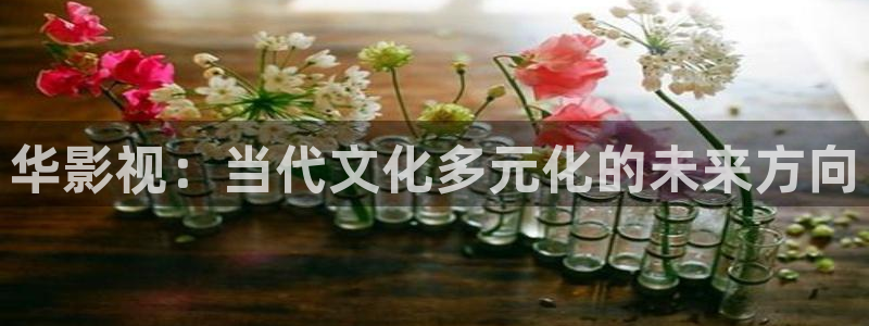 西瓜视步