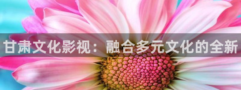 谈判官完整版免费观看西瓜