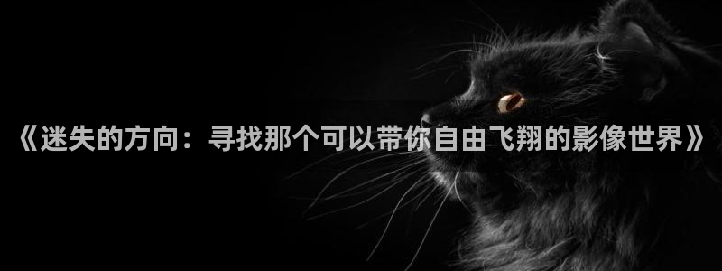 西瓜音影网
