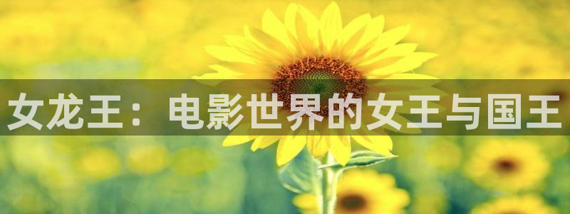 西瓜电影免费观看影片